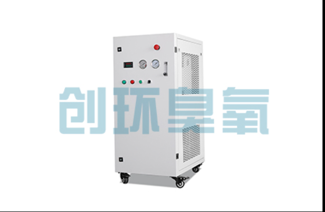 宣城工厂化养鲈必看:2026年臭氧发生器替代传统消毒的最新方案