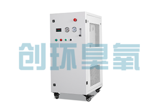 宣城石斑鱼养殖水质调控完整指南:臭氧发生器配置与操作步骤