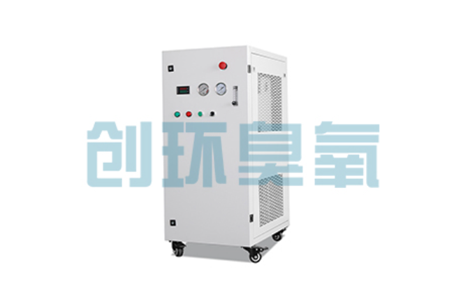 宣城比传统换水更高效?臭氧发生器在石斑鱼养殖中的水质净化原理解析
